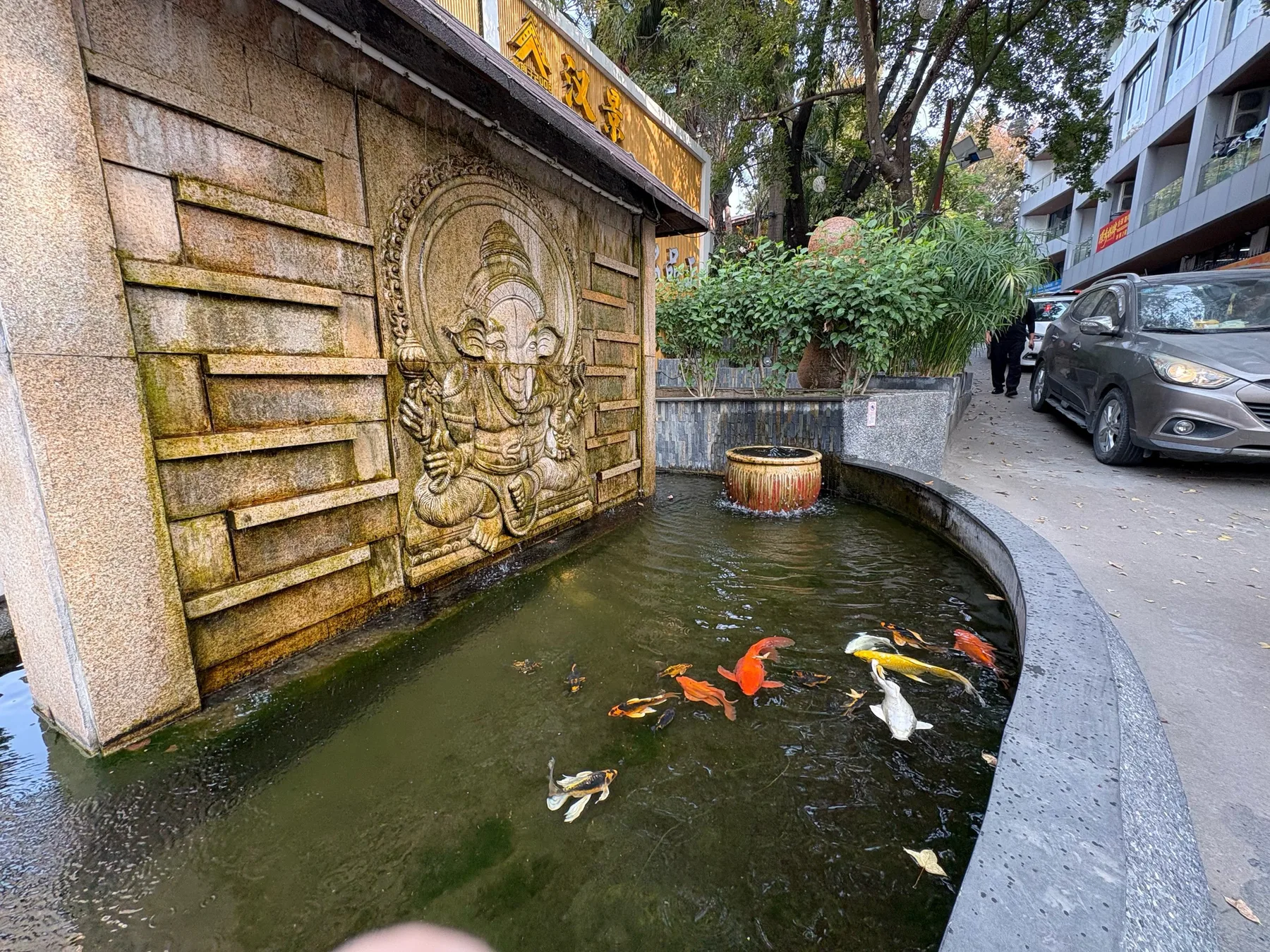 Photo 5 from Hanjing · Cantonese Cuisine & Dim Sum · 18-Year-Old Garden Restaurant (Chimelong Branch)