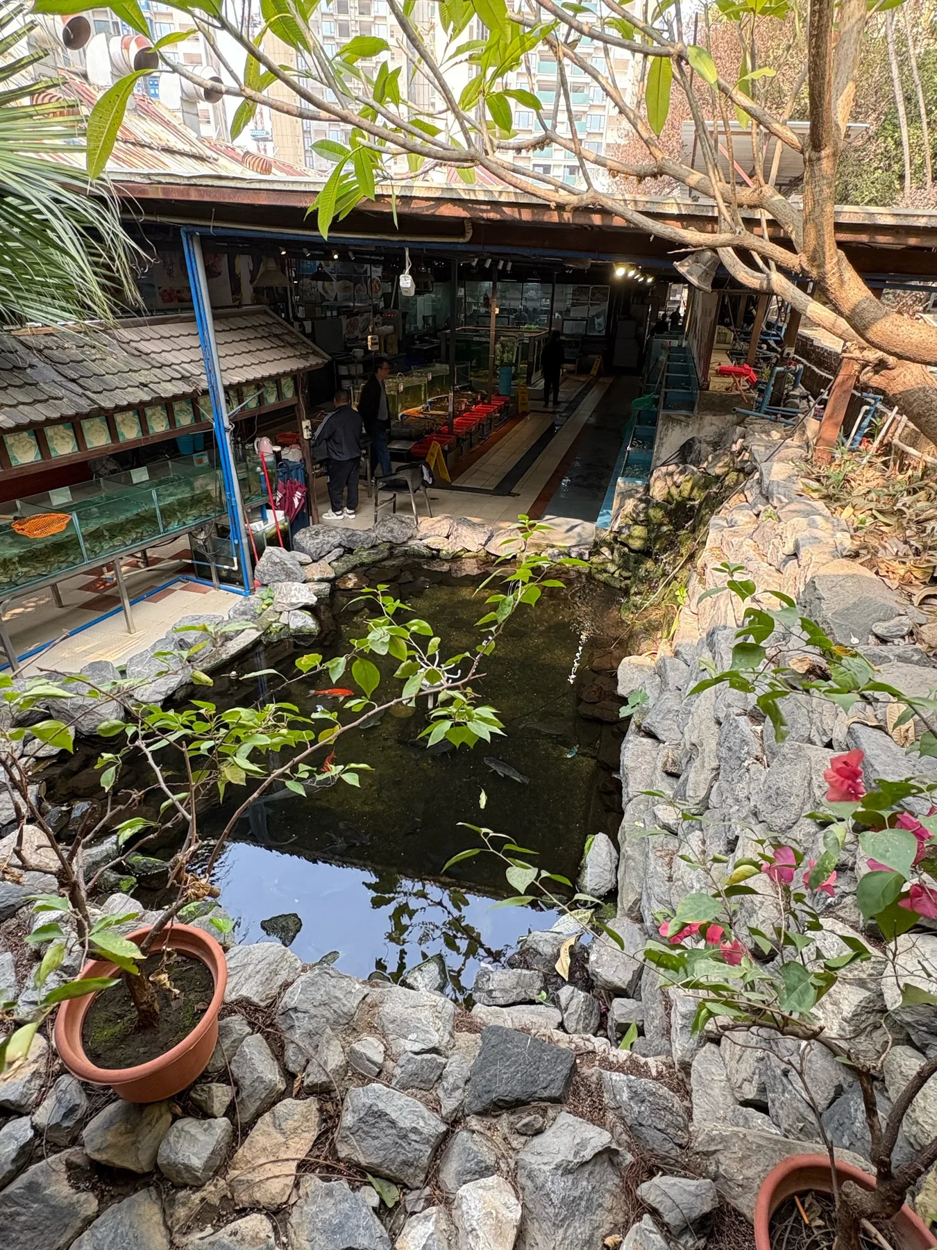 Photo 10 from Hanjing · Cantonese Cuisine & Dim Sum · 18-Year-Old Garden Restaurant (Chimelong Branch)