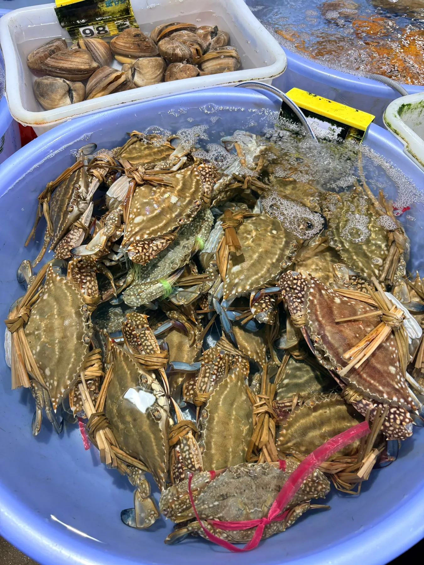 Photo 4 from Xiaoshiguang Seafood · Signature Mantis Shrimp (Nanwan Branch)