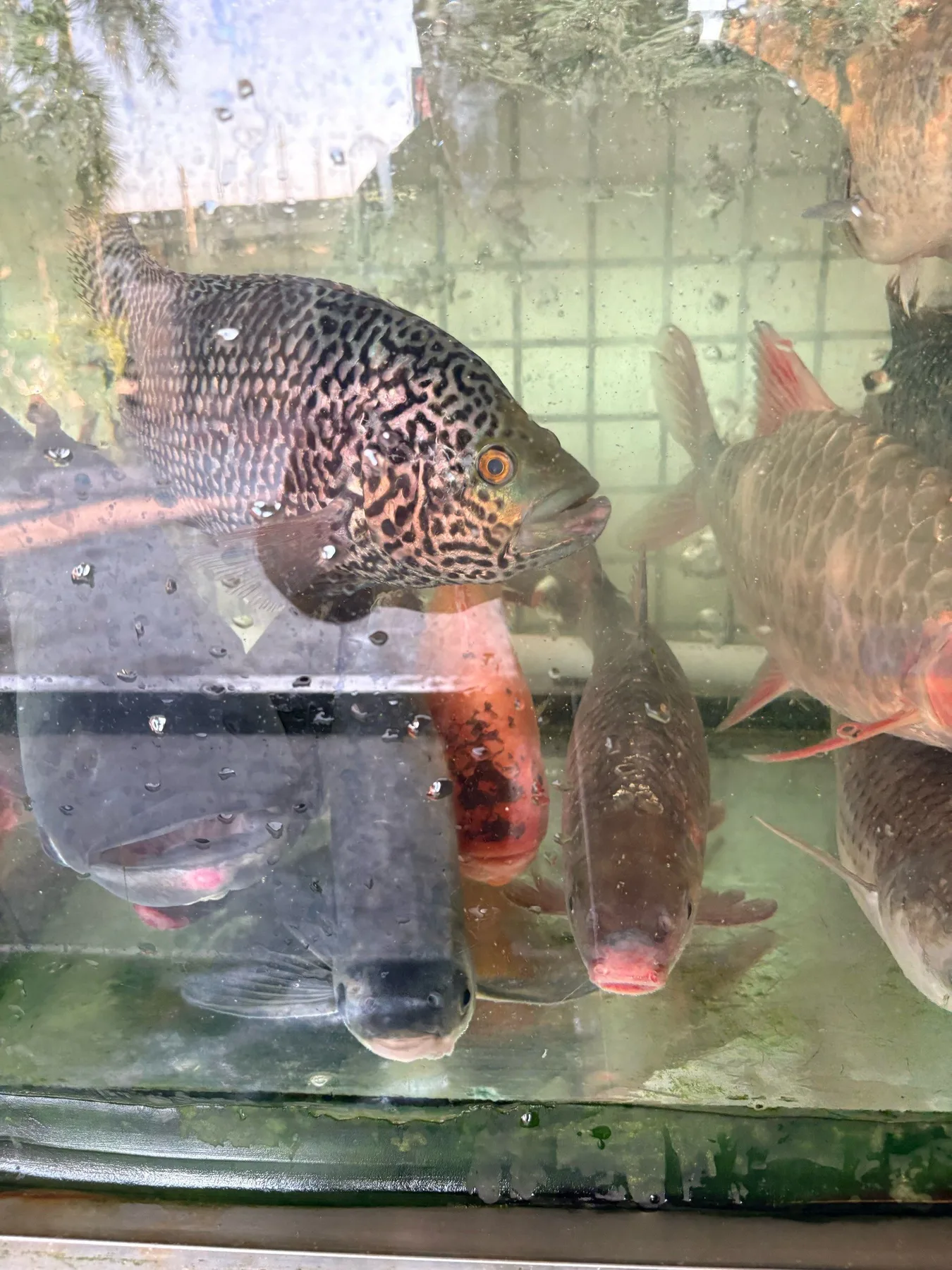 Photo 7 from Xiangji River Fresh (Dawang Avenue Branch)
