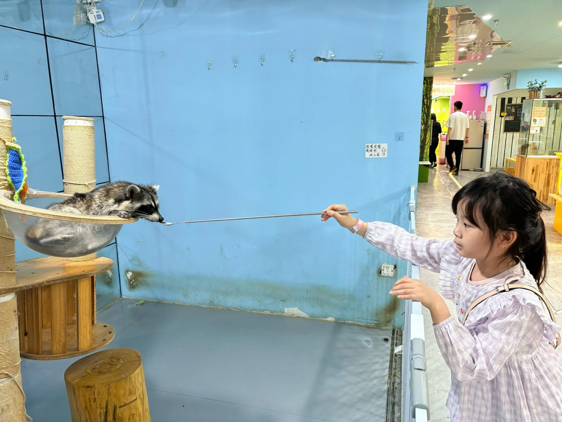 Photo 11 from Shanghai Live Insect Exhibition · Reptile Pet Interactive Center