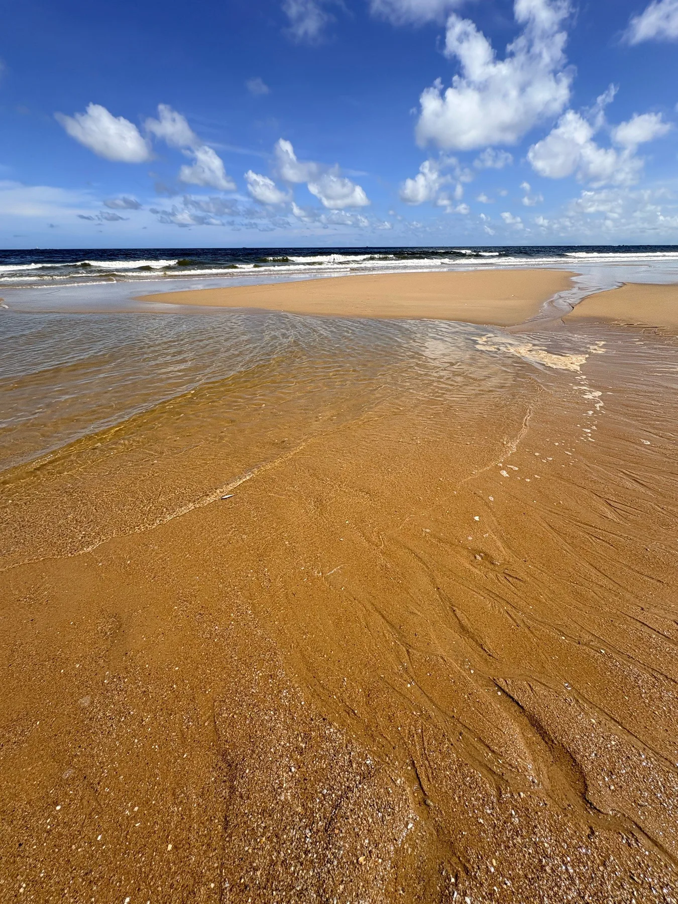 Photo 3 from Dina Sea