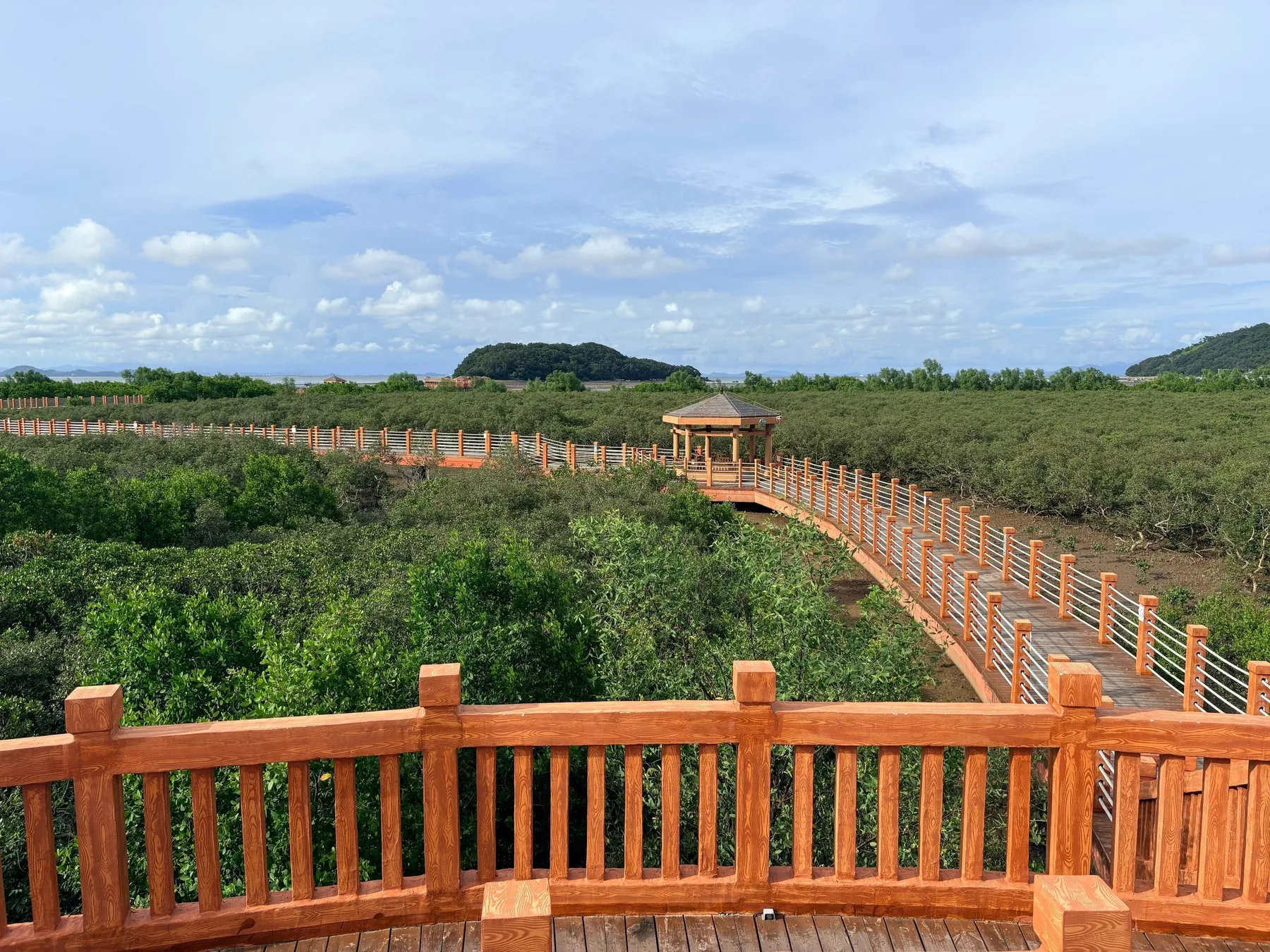 Photo 2 from Hailing Island Mangrove National Wetland Park