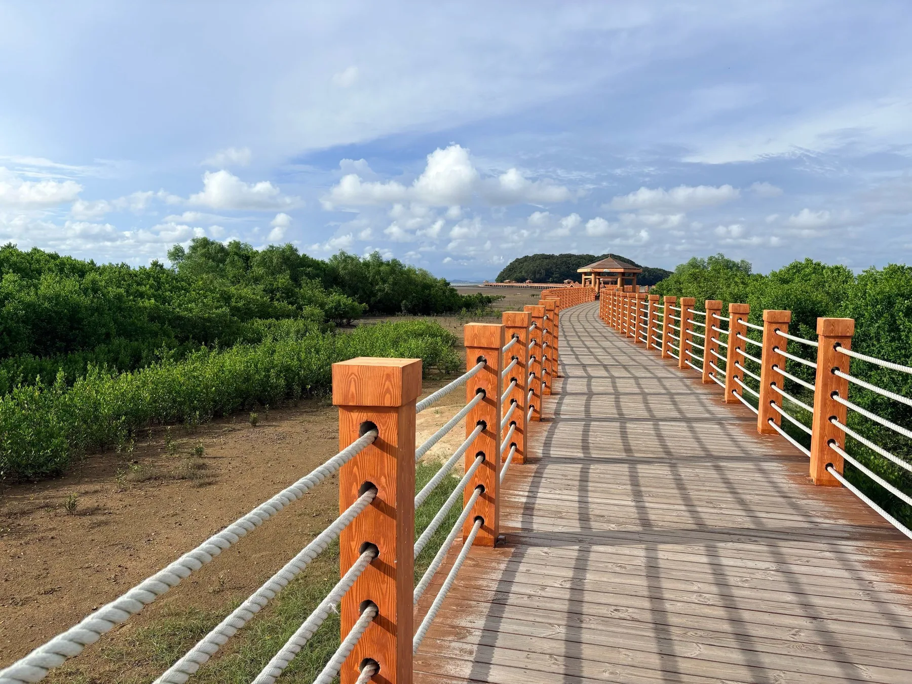 Photo 3 from Hailing Island Mangrove National Wetland Park