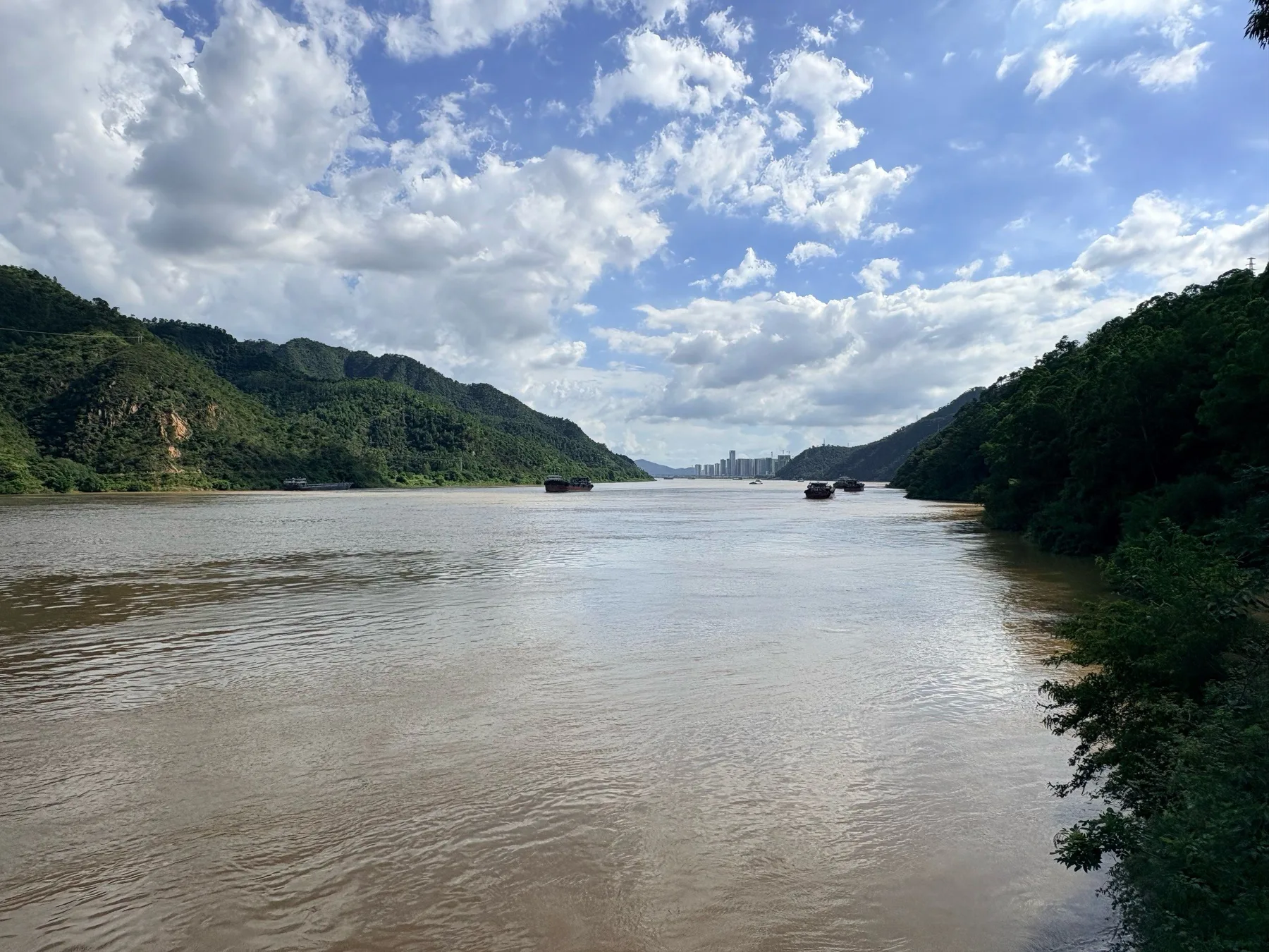 Photo 3 from Lingyang Gorge Ancient Plank Road Forest Park