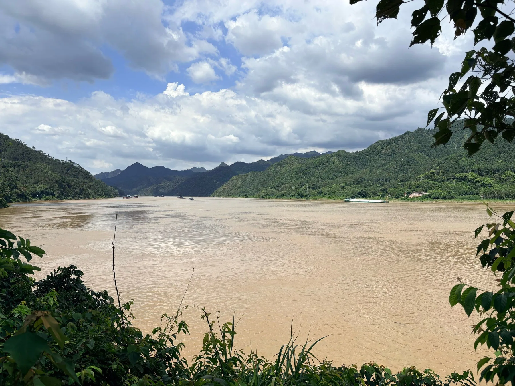 Photo 4 from Lingyang Gorge Ancient Plank Road Forest Park