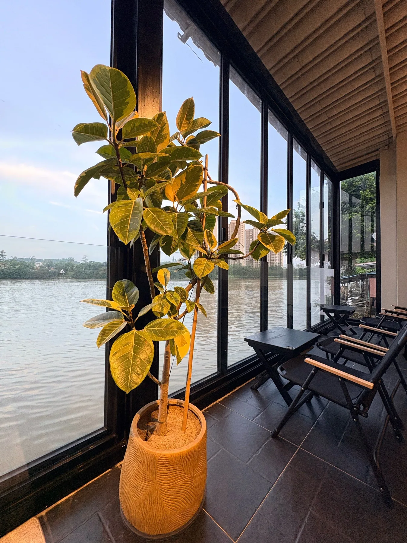 Photo 6 from Qiao'an