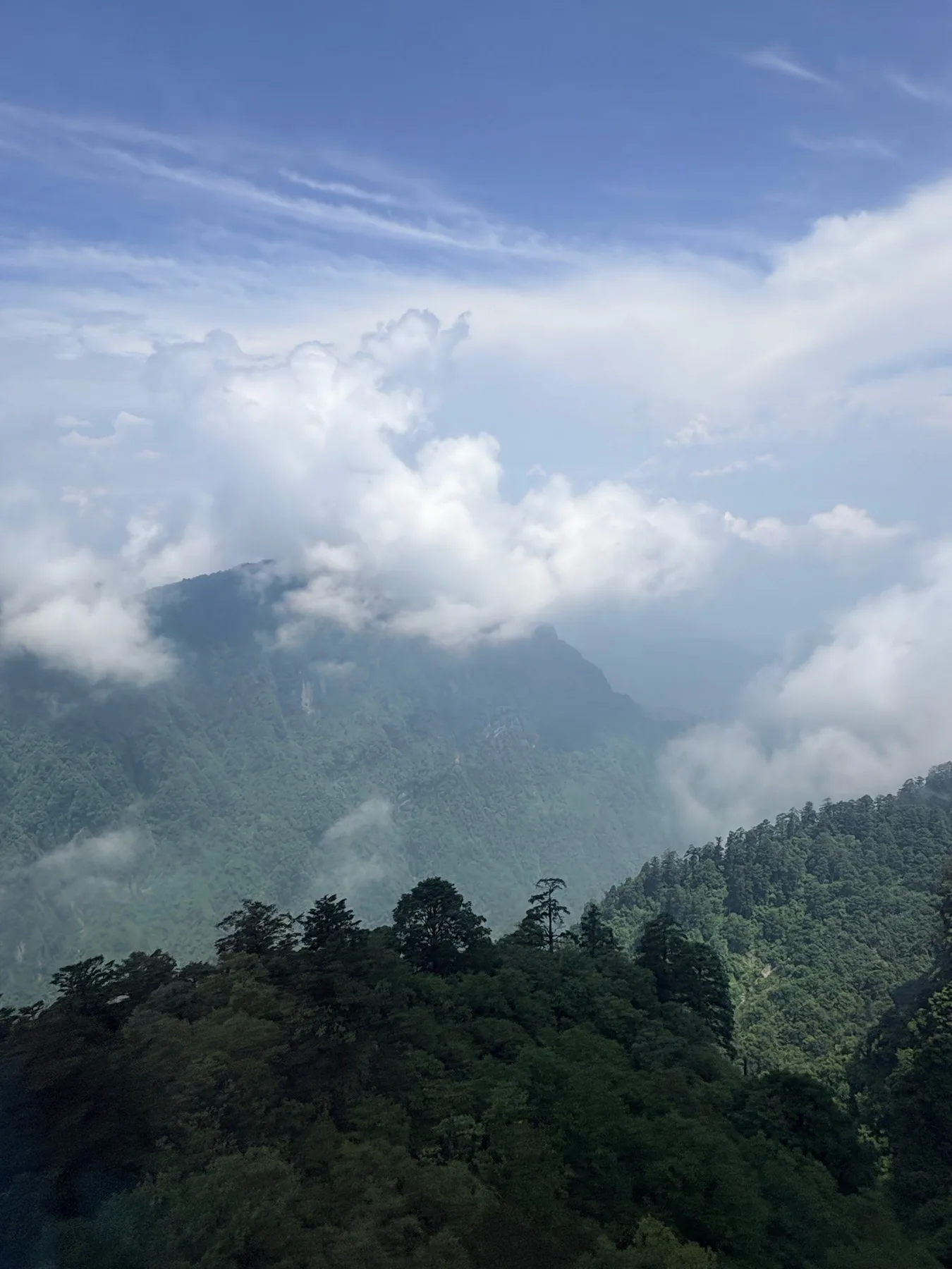 Photo 7 from Mount Emei Scenic Area