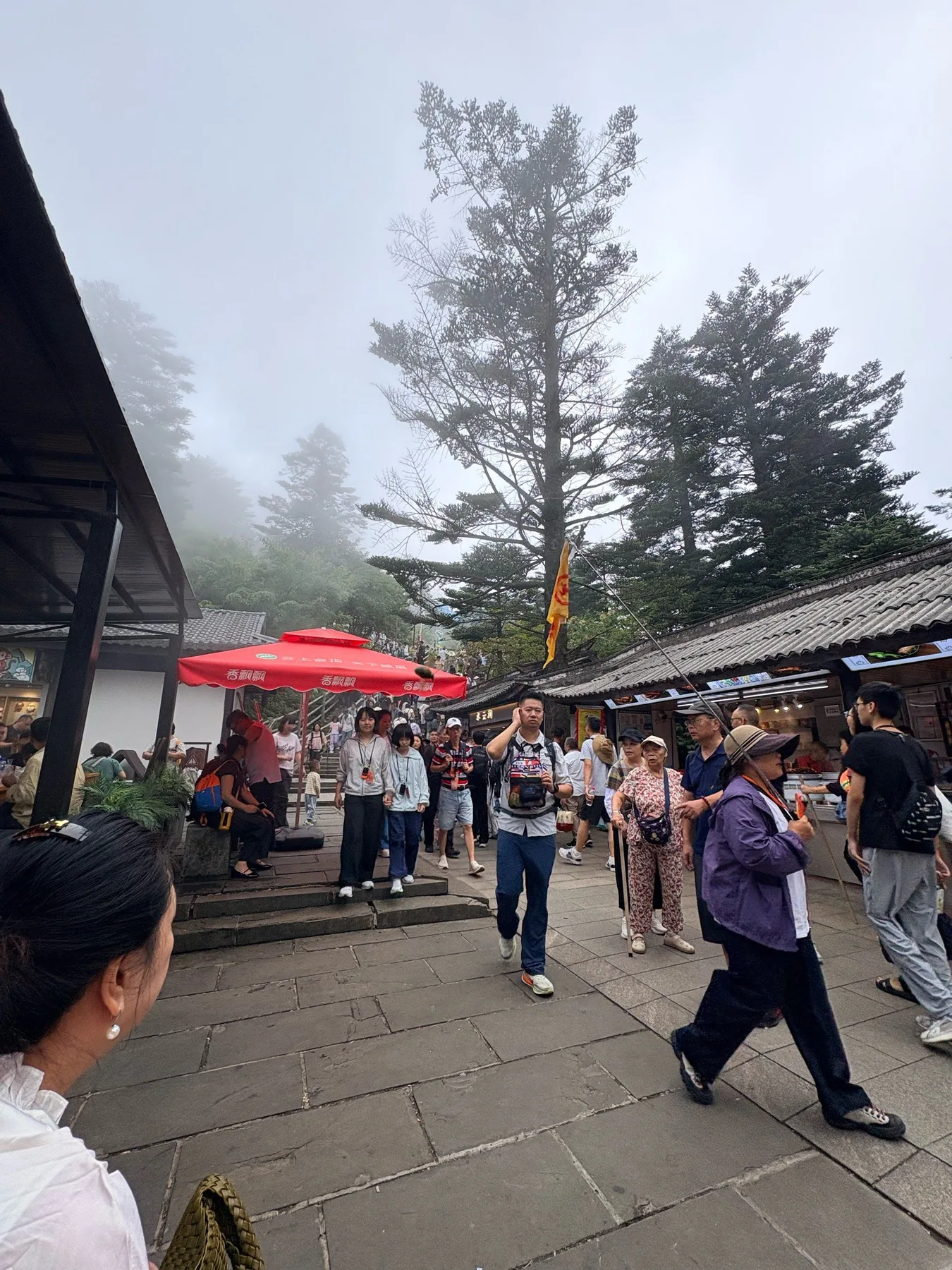 Photo 8 from Mount Emei Scenic Area