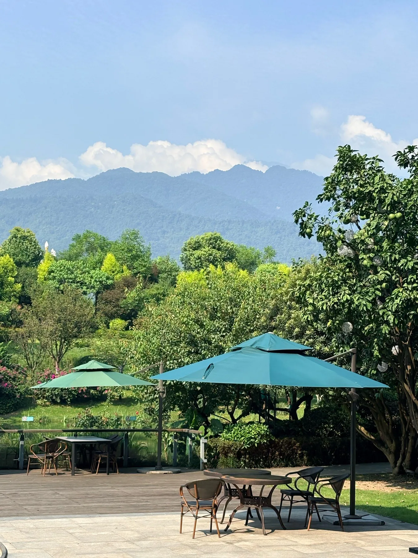 Photo 7 from Emeishan Hengbang Le Méridien Resort