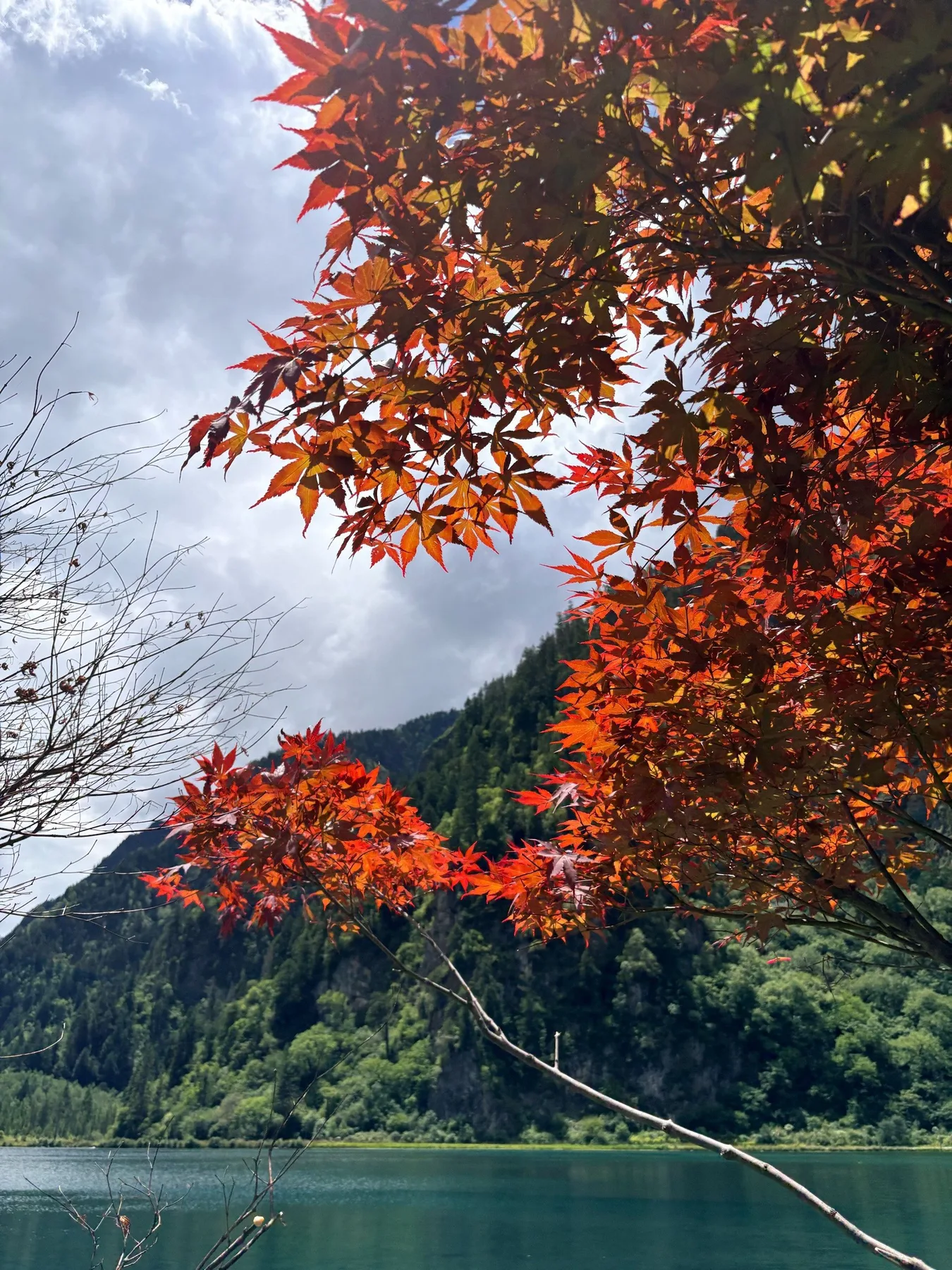Photo 3 from Bipenggou Scenic Area
