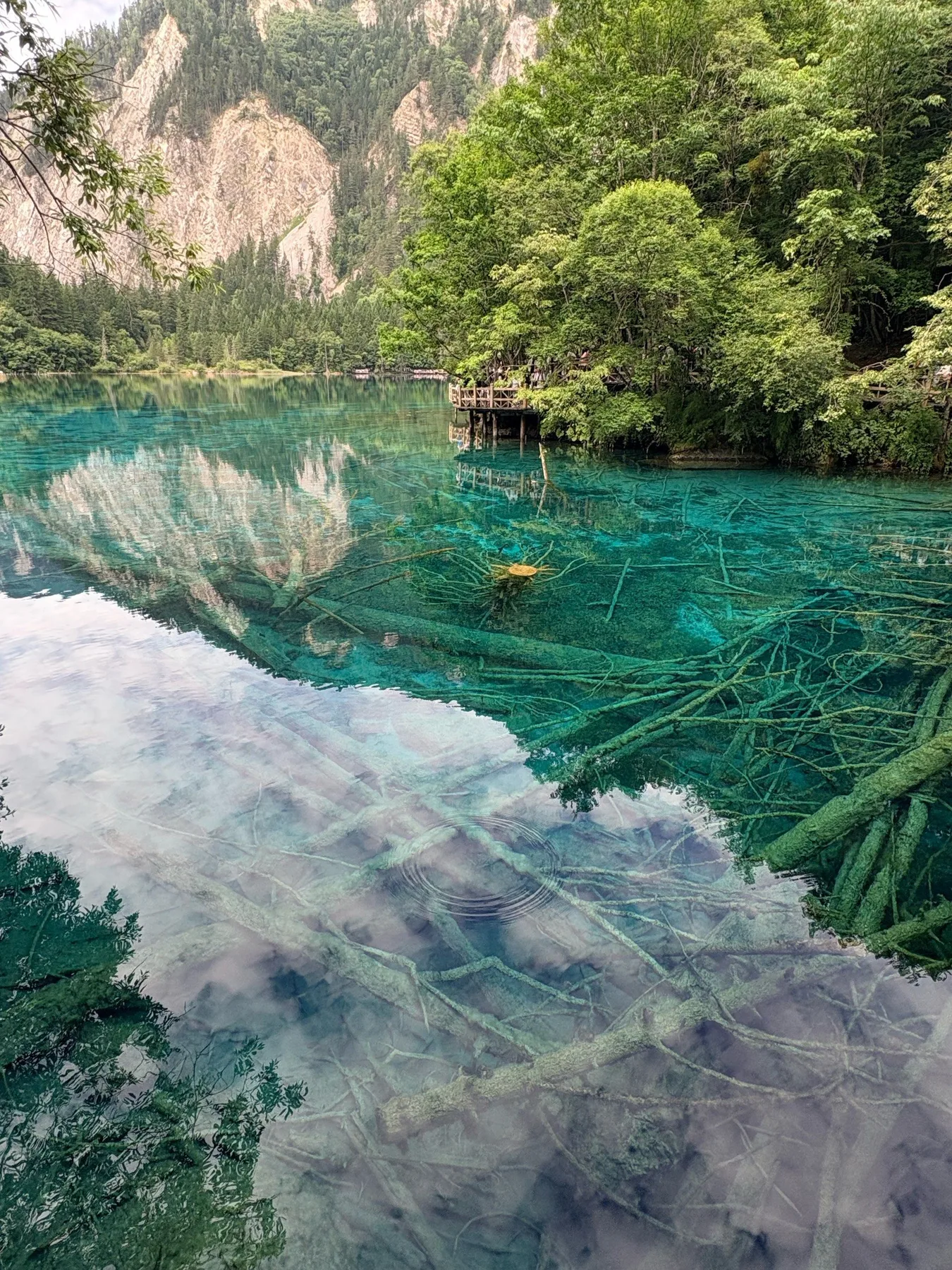 Photo 6 from Jiuzhaigou Scenic Area