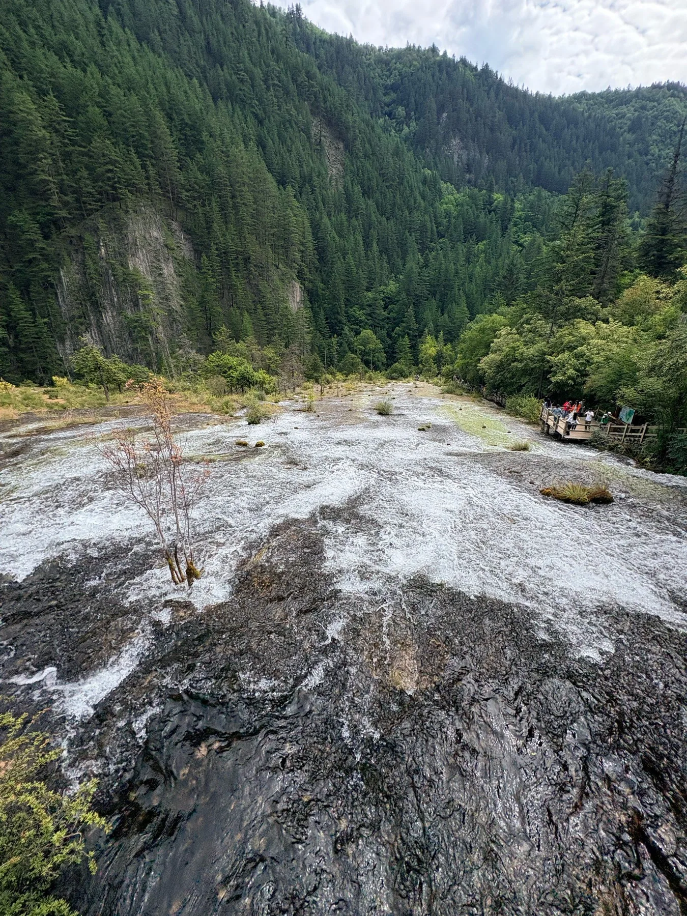 Photo 7 from Jiuzhaigou Scenic Area