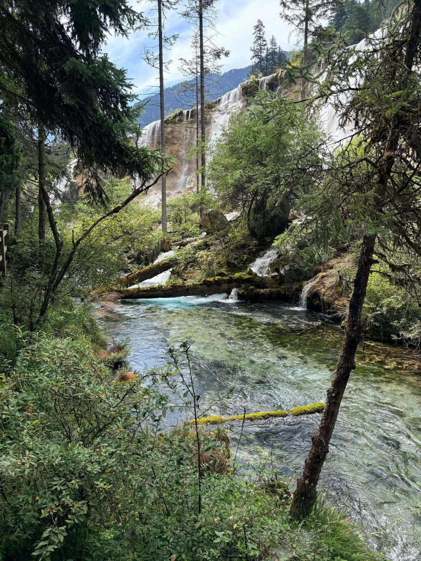 Photo 8 from Jiuzhaigou Scenic Area