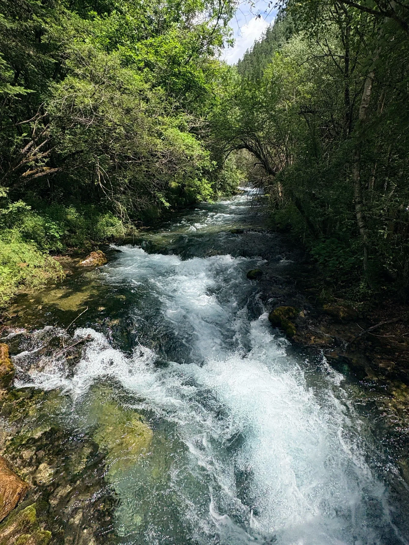 Photo 9 from Jiuzhaigou Scenic Area