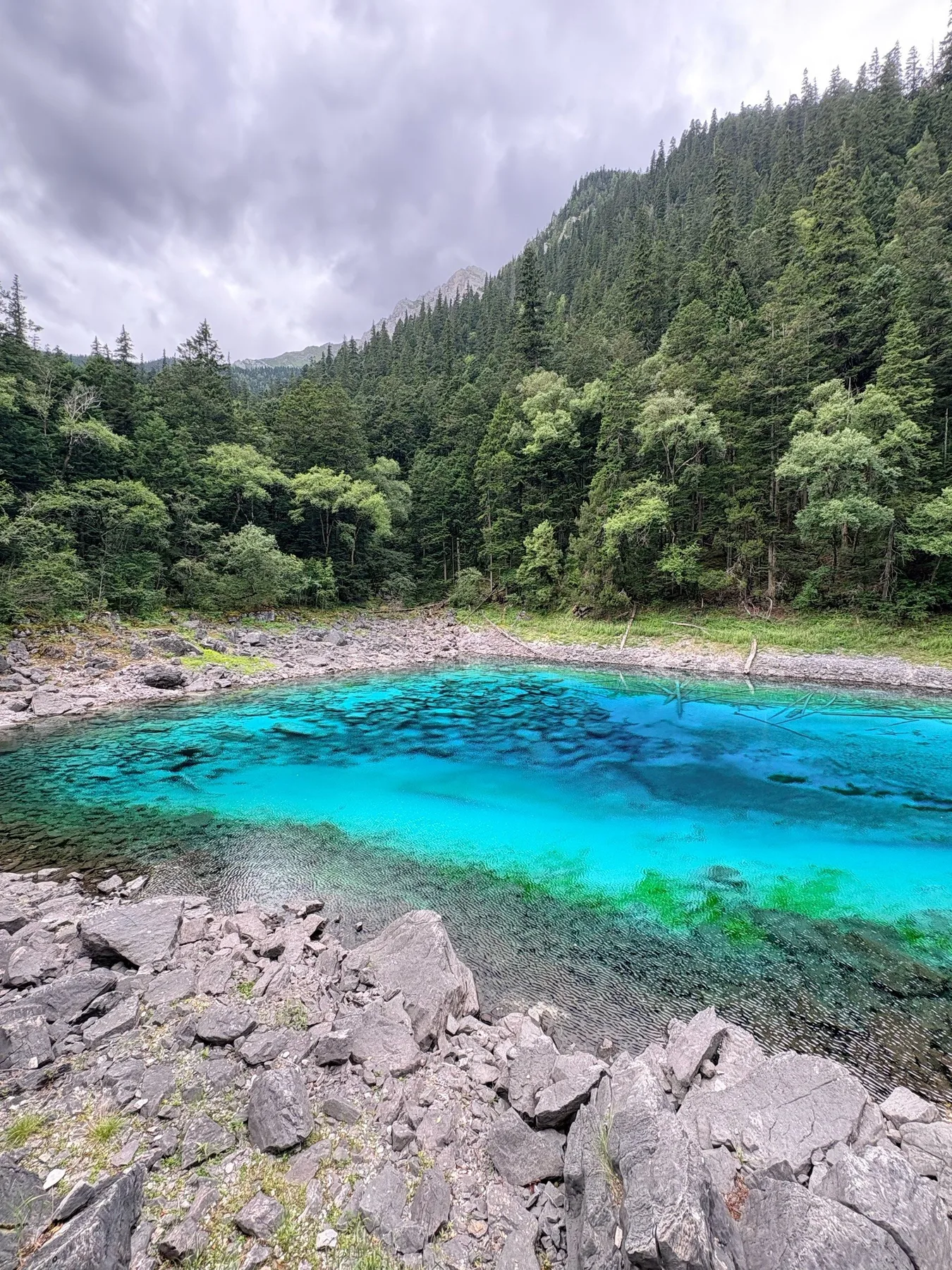 Photo 11 from Jiuzhaigou Scenic Area