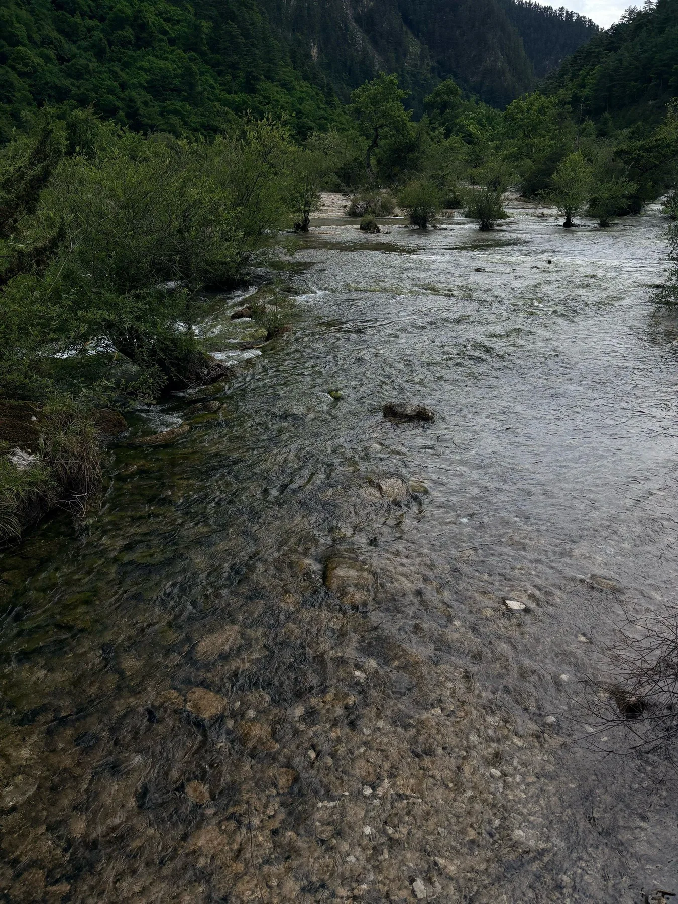 Photo 13 from Jiuzhaigou Scenic Area