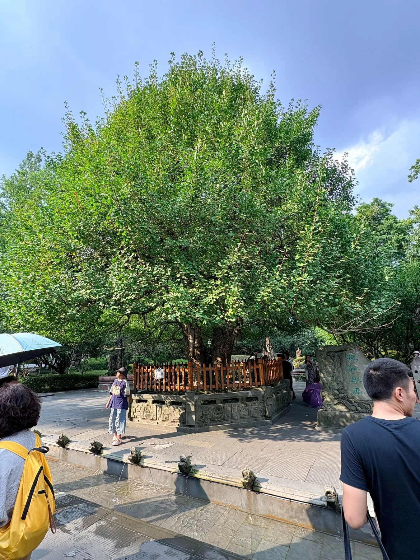 Photo 3 from Dujiangyan Scenic Area