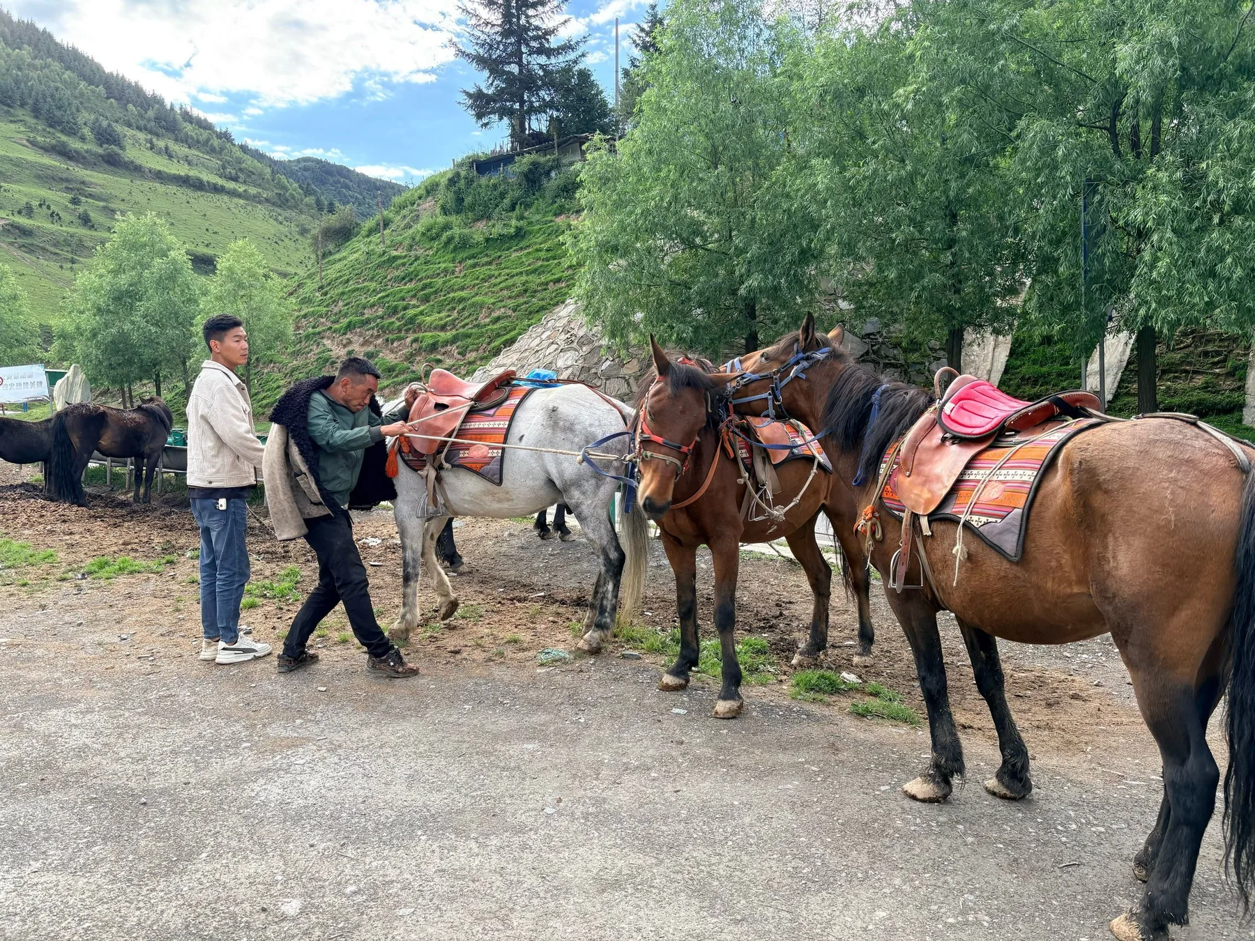 Photo 2 from Songzhou Yun Tea Horse Caravan (Songpan Branch)