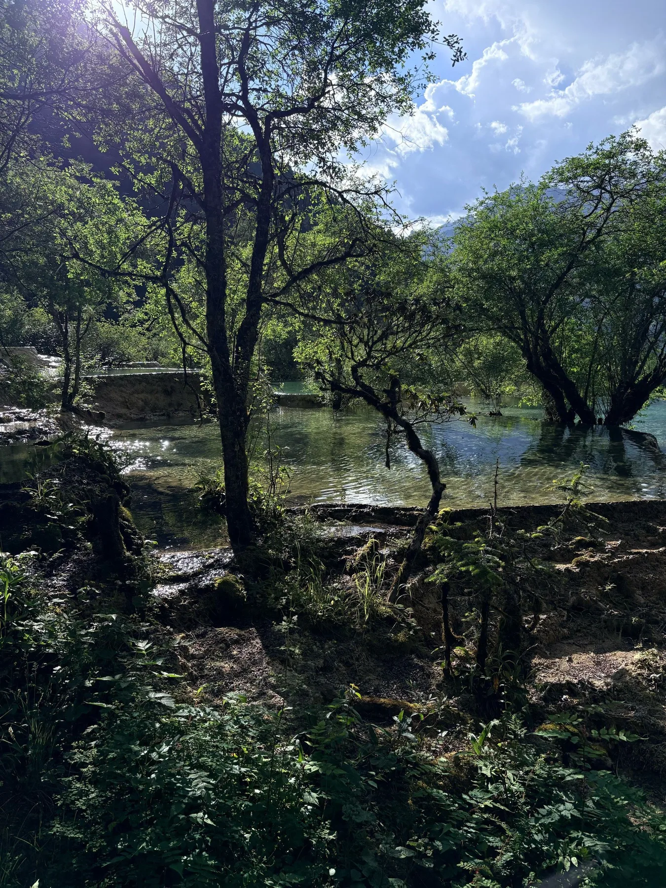 Photo 7 from Huanglong Scenic Area