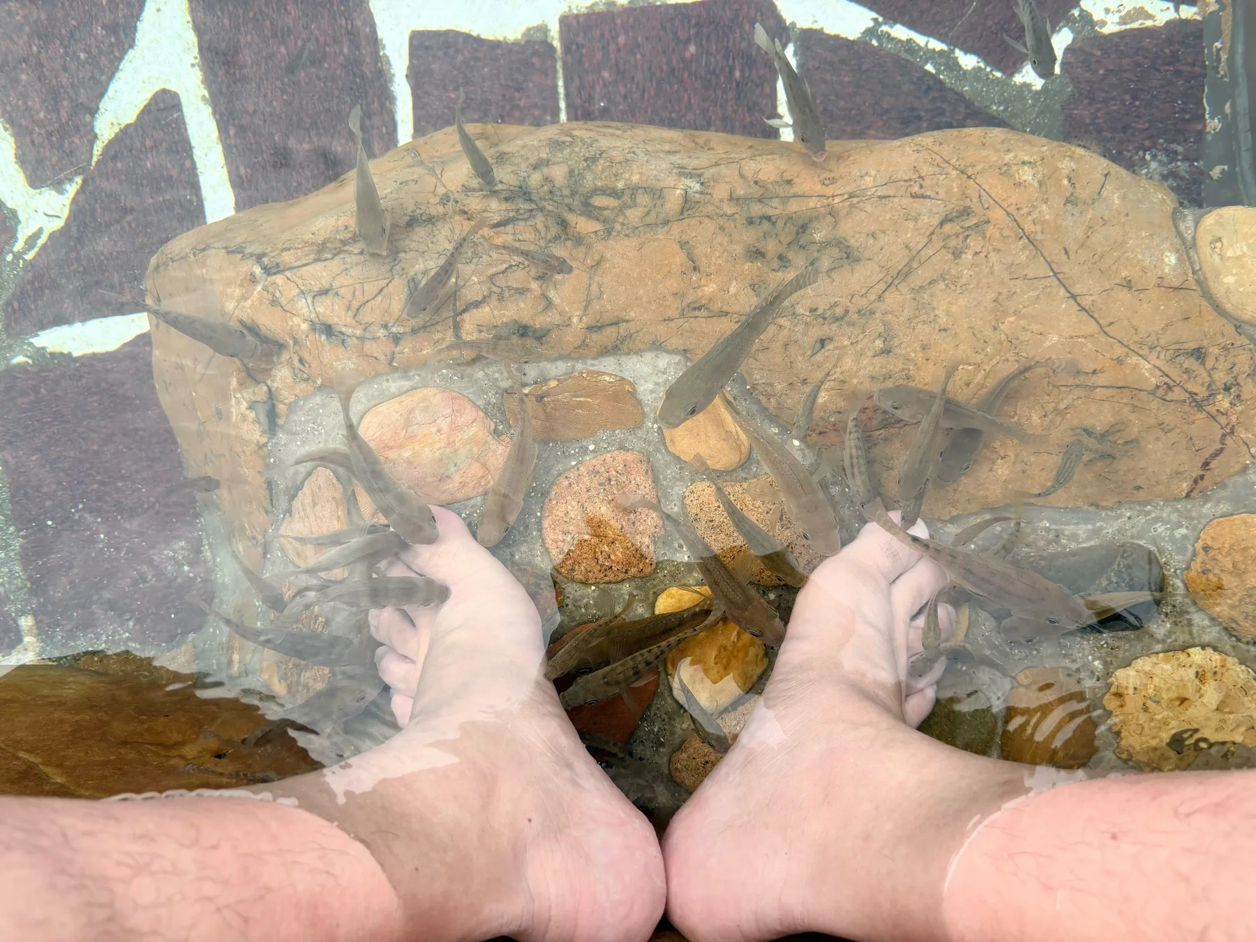 Photo 5 from Qingyuan Hezhong Hot Spring (formerly Qingxin Hot Mineral Spring)